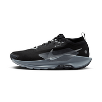 NIKE PEGASUS TRAIL 5 GTX MEN'S